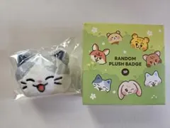 NCT DREAM Dreamiez ランダムぬいぐるみバッジ