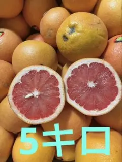 数量限定！訳ありルビーグレープフルーツ5kg 赤果肉 たっぷりお得のサムネイル