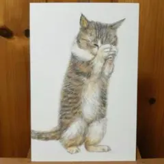 色鉛筆画　手描き　猫「祈り」