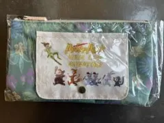 ディズニーシー　 ピーターパン スーベニアお手拭きキャリー①