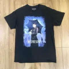 新品未着用 アニメ AIR key 国崎往人 神尾観鈴 Tシャツ Lサイズ - メルカリ
