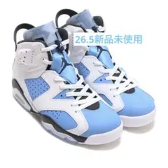 Air Jordan 6 Retro ブルー/ホワイト 26.5cm