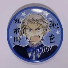 PandoraHearts エコー アニカプ 缶バッジ パンドラハーツ 原作絵
