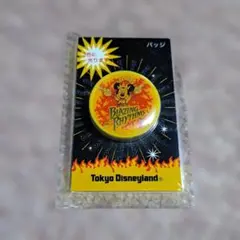 東京ディズニーランド ブレイジングリズム 缶バッジ