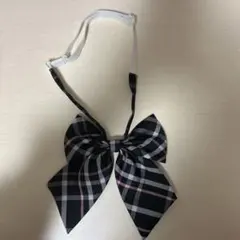 Item thumbnail for item df8e813b-4c3b-44c8-b31e-0f8e5f37140c