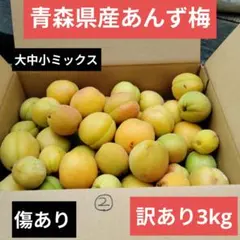 青森県産 あんず梅 大中小ミックス 3kg 訳あり傷ありのサムネイル