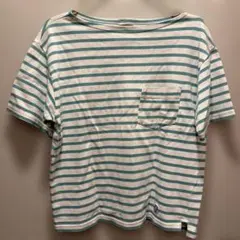 オーシバル 半袖ストライプTシャツ