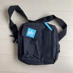 Item thumbnail for item 324790b6-5299-40d2-8e8c-3d0475b29aa3