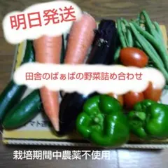 내일 출하, 오늘 저녁 수확, 시골 바르바 야채 모듬 소형 배송