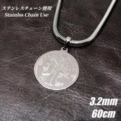 【ステンレスチェーン使用】コインネックレス スネークチェーン　シルバー　cw34