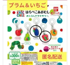 全5種コンプ】はらぺこあおむし めじるしアクセサリー - メルカリ