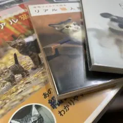 リアル猫人形 佐藤法雪　3品