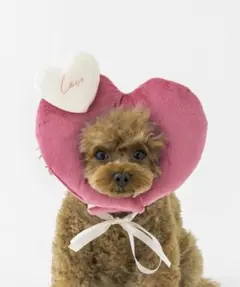 スリーコインズ　ペット　ハート　ピンク