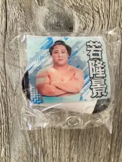 Item thumbnail for item 32622022-c817-4690-983f-ed46779d1b10