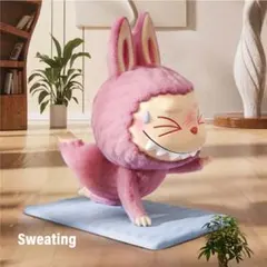 【新品未開封】THE MONSTERS Lazy Yoga Sweating