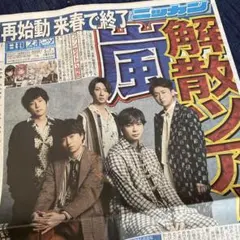 嵐　解散　日刊スポーツ　スポーツ新聞　記事　解散ツアー　切り抜き　ニッカン　宅配