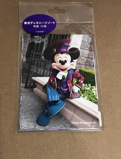 ディズニー ハロウィン 写真１０枚セット フレンジー フォト 2025