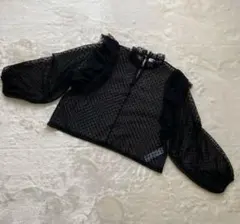 ザラ　ブラウス　シースルー　レース　ブラック　フリル　スタンドカラー　Sサイズ