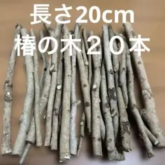 Item thumbnail for item cc1c68d3-1efc-4ac5-83f1-e950172a32e3