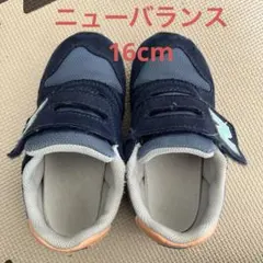 Item thumbnail for item aff24d20-b9b6-4bbf-95f1-d94bffd34915