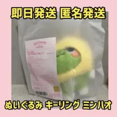 SEVENTEEN CHOITCHERRY MINITEENぬいぐるみクッション - メルカリ