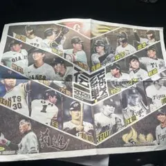伝統の一戦　阪神VS巨人　入場特典配布新聞のサムネイル