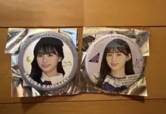 Item thumbnail for item ce2e6549-bcea-4a17-90a9-2d6ecf032774