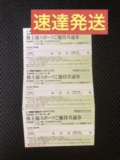 3枚速達★東急不動産ホールディングス 株主優待　スキー場リフト割引券　ゴルフ場