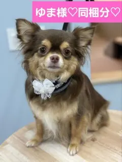 ゆま様 リクエスト 10点 まとめ商品　同梱分