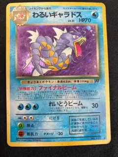 2025年最新】わるいギャラドスの人気アイテム - メルカリ