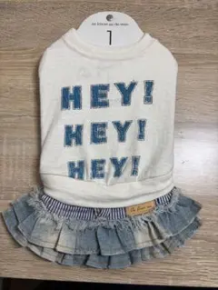 Item thumbnail for item c7260e36-4ae8-46f6-8075-9ccc199b2ea8