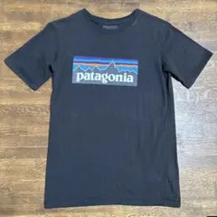 patagonia　キッズTシャツ　XL14 150cm