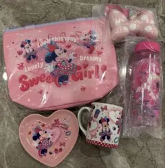 ディズニー パルパルーザ ファンダーランド ミニー スーベニア ５点セット