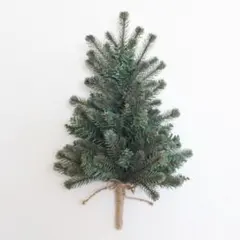 こにゃーこ様 リクエスト 2点 まとめ商品