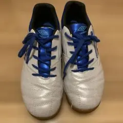 Item thumbnail for item aa2cfce2-db5b-4a62-98df-2a868c6f9512