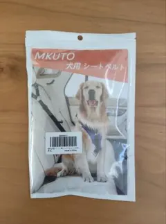 Item thumbnail for item 2f362bd4-af83-41b6-93b0-6c4cab96f9ed