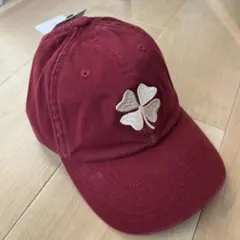 Item thumbnail for item a0cf2da6-0e3f-497b-b684-6d68453c1874