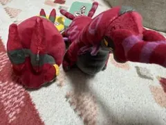 Pokemon Fit フシデ ペンドラー セット