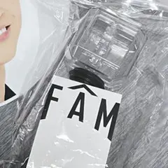 タイムレス timelesz FAM 2025 ペンライト