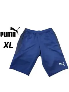 Item thumbnail for item 9b3b1aec-f6e0-4842-8971-318ede8e3581