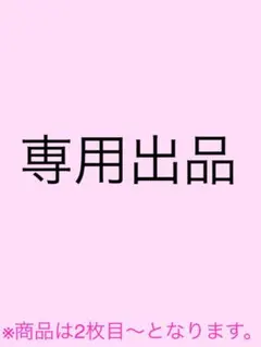 【専用出品】