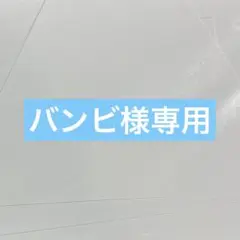 バンビ様 リクエスト 2点 まとめ商品