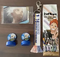 ハイキュー　TO THE TOP　ステッカー　鴎台　星海光来