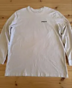 PATAGONIA パタゴニア　レスポンシビリティー tee size L ◆◆