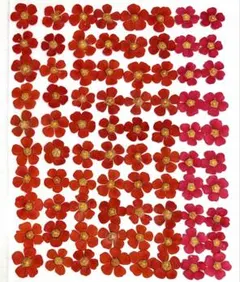 etoile様 リクエスト 3点 まとめ商品