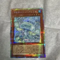 マルチャミー・プルリア プリシク