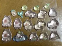 クーリア ボンドロ カピバラ アニマル