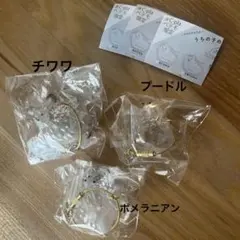 うちの子のけだまだま
