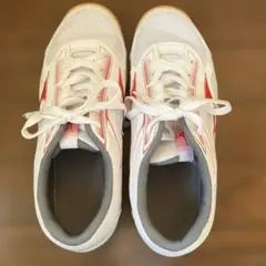 【新品】ミズノ　体育館シューズ