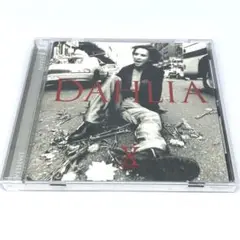 X JAPAN DAHLIA